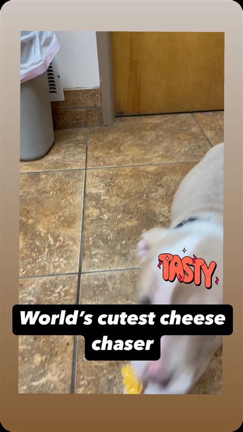 Mill Creek Veterinary Hospital (@millcreekvethospital) • Instagram ...