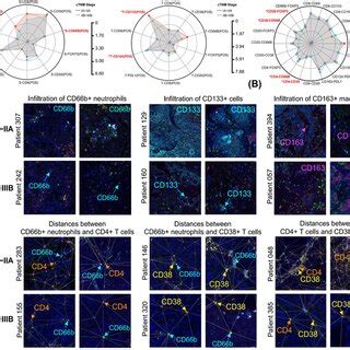 Dynamic Cellular Localization Chart 的图像结果