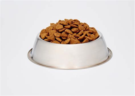 Buy PRO PLAN Optidigest Sensitive Digestion Medium Adult Dry Dog Food ...