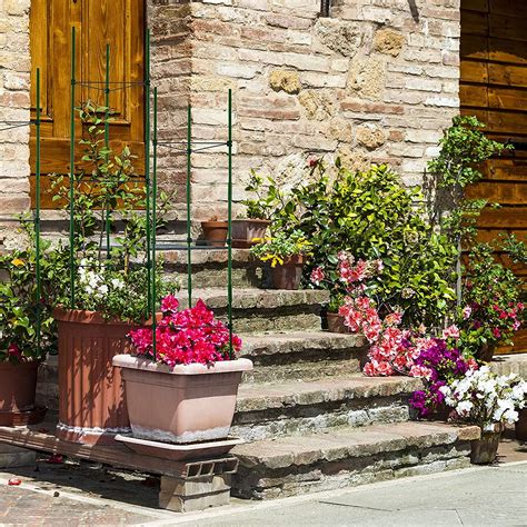 Buy Gardzen 3-Pack Tomato Cage, Plants Support, Trellis Climbing ...