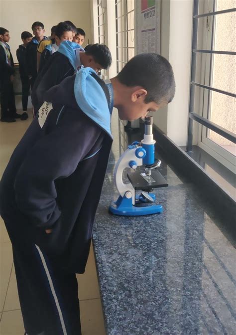 Grade 7 Science Budding and Fragmentation Lab Activity