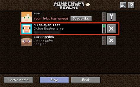 Activate Multiplayer Mode Minecraft Java 的图像结果