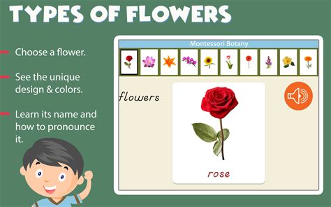 Montessori Botany - Parts of Plants - App on Amazon Appstore
