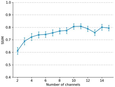 Fiber Bundle Image Reconstruction Using Convolutional Neural Networks ...