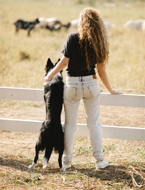 Tale of Tails | Pet Care Assistant