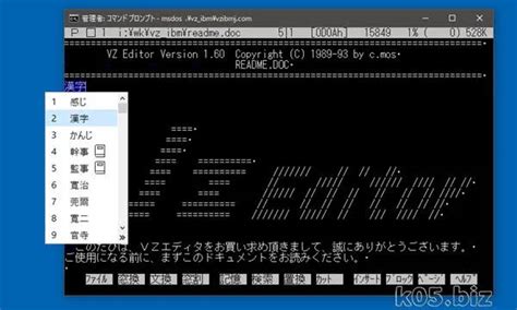 Image result for MS-DOS Video Player