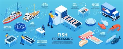 Fish processing Vectors - Download Free High-Quality Vectors from ...