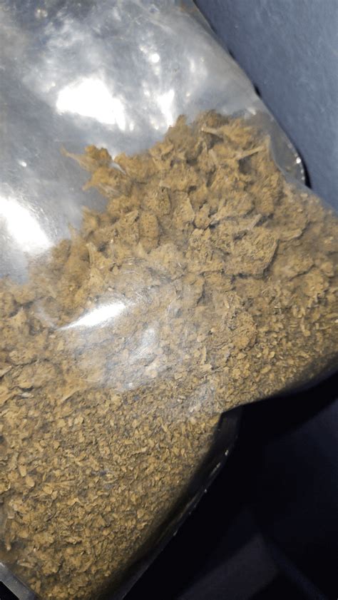 How long till weed expires? : r/saplings