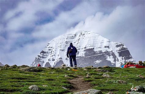 Image result for SQL Refresher