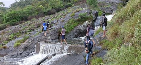 The Grape Adventures & Holidays (Chinnakanal) - 2020 What to Know ...