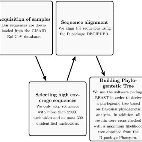 Image result for Tree Flow Chart