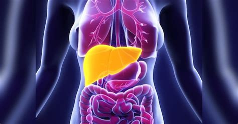 what are the causes of fatty liver symptoms and home remedies for fatty ...