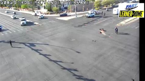 Ghost’s Story: Elusive white dog spotted living with coyote pack in ...