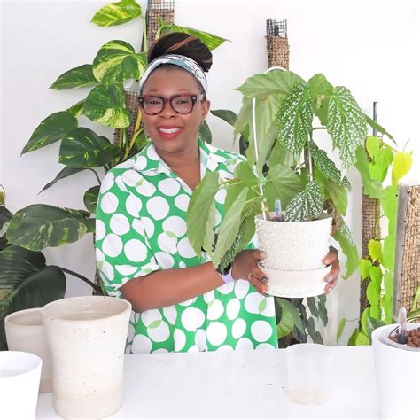 DIY Self-Watering Planter