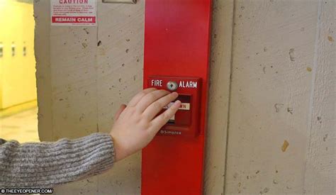 Fire Alarm Testing Prank 的图像结果