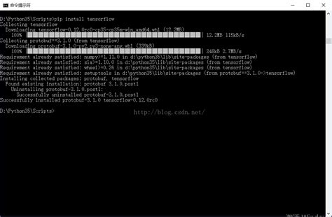 Tensorflow for Windows 的图像结果
