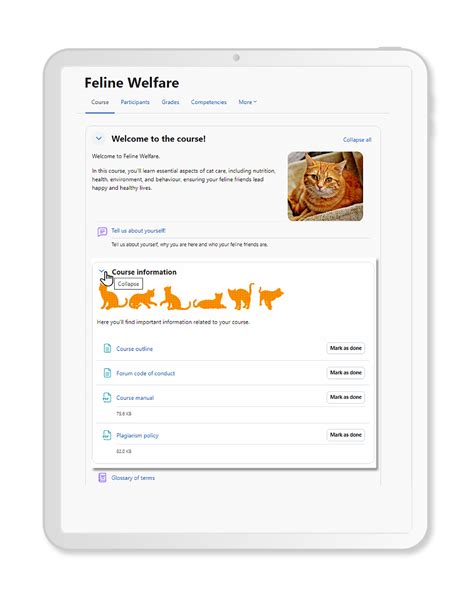 LMS Models 的图像结果