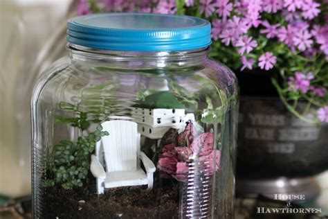 Image result for Terrarium Making111