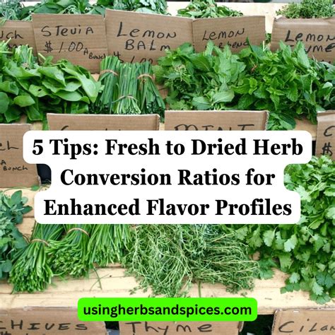 5 Tips: Fresh to Dried Herb Conversion Ratios for Enhanced Flavor Profiles - Using Herbs ...