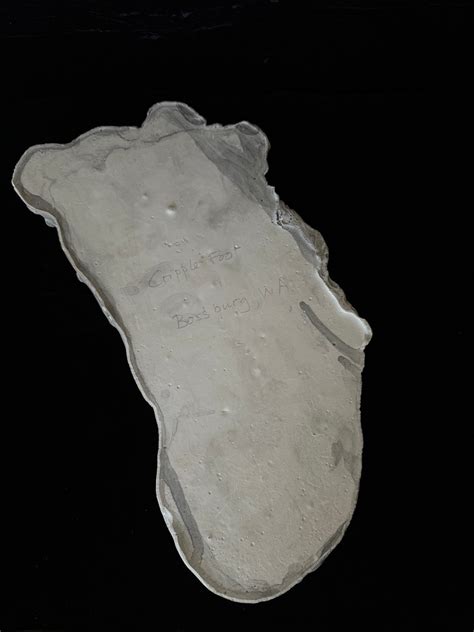 Cast Of Cripple Foot From Bossburg, WA #189443 | Auctionninja.com