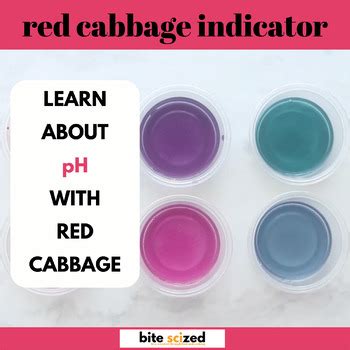 Image result for Red Cabbage Indicator Chart