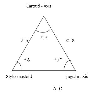 Osteological studies of skull base neurovascular area in reference to ...