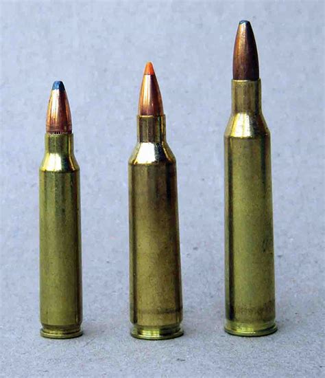 .22-250 Remington (Pet Loads) | Handloader Magazine