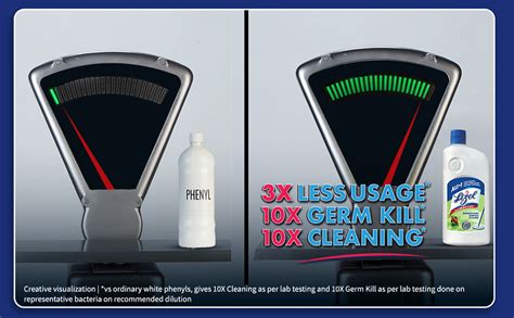 Lizol Disinfectant Surface & Floor Cleaner Liquid, Pine - 500 ml ...