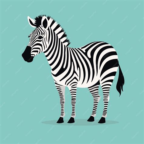 Premium Vector | Zebra cartoon illustration vector design clipart for kids