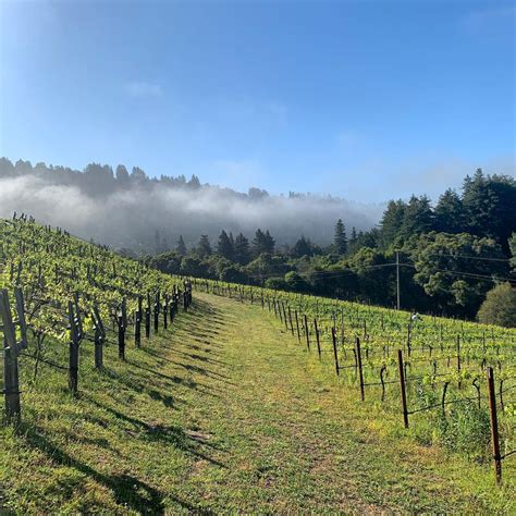 Madson Wines Discover Santa Cruz Mountains Wineries