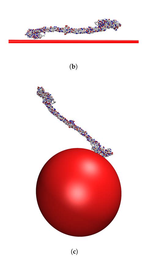 Adsorption of Fibrinogen on Silica Surfaces—The Effect of Attached ...