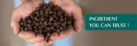 Guar Meal Churi in India, Guar Meal Korma