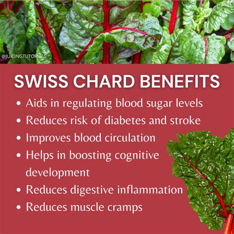 What Are The Health Benefits Of Juicing Swiss Chard at Harry Boykin blog