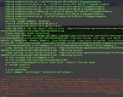 Positional ArgumentError Pygame 的图像结果