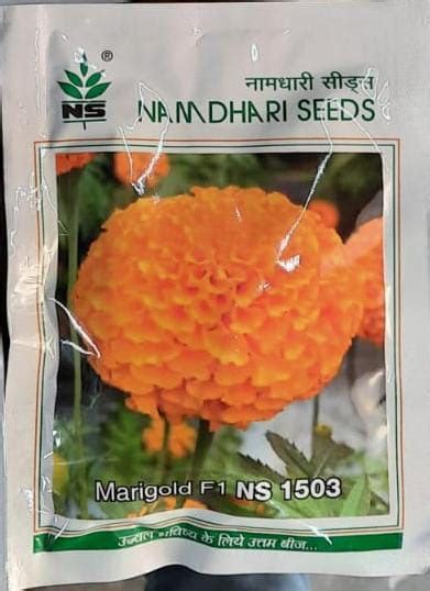 NS 1503 - 1000 Seeds