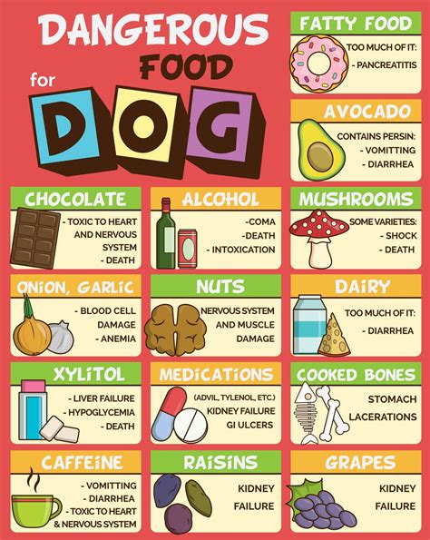 Foods Dogs Can't Eat Printable