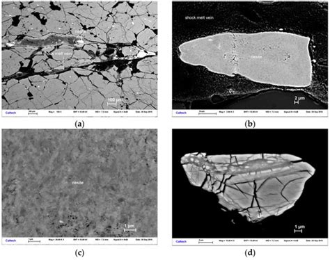 Riesite, a New High Pressure Polymorph of TiO2 from the Ries Impact ...