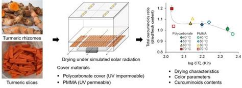 Drying Behavior and Curcuminoids Changes in Turmeric Slices during ...