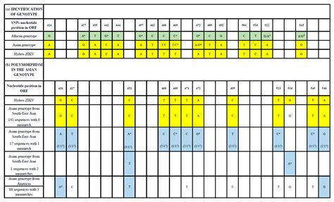 Vector-Borne Transmission of the Zika Virus Asian Genotype in Europe