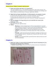 Image result for Issa Cheat Sheet