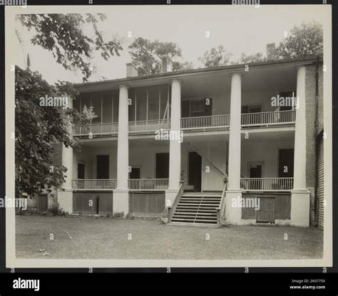 Gloucester Natchez at Jade Stainforth blog