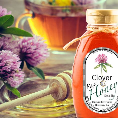 100% Pure Raw Clover Honey – StockUpExpress
