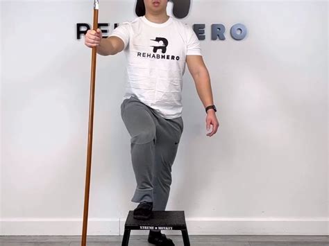 Step Support 的图像结果