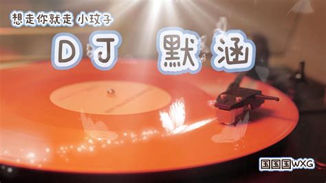 （想走你就走）小玟子 歌曲分享 DJ默涵 自制MV_腾讯视频