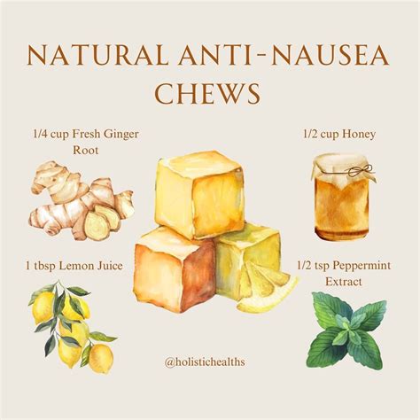 Holistic Health & Wellness on Instagram: "🌿 ️ Stay nausea-free this summer with these DIY anti ...