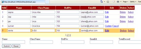 Image result for How to Use a Data GridView in VB