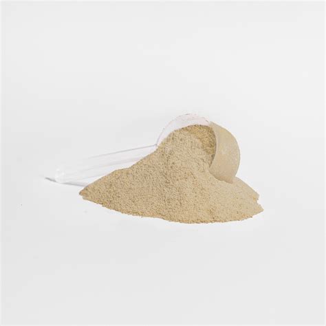 Can You Mix Creatine with Protein Powder? – Minimo Nutrition