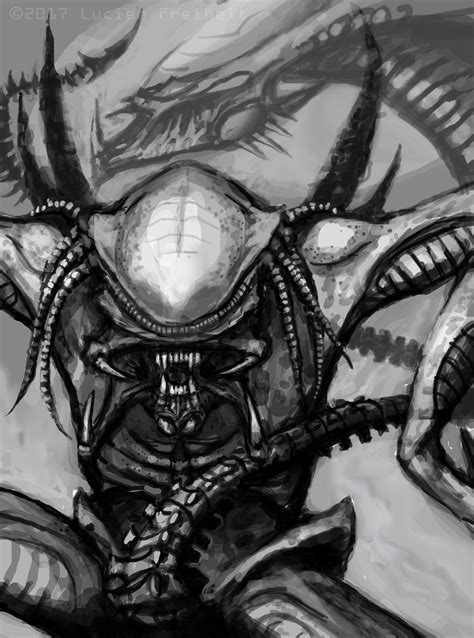 Image result for How to Draw the Predalien