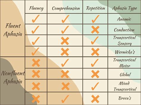 Image result for Aphasia Type Tree