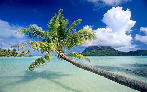 Tropical Beach Backgrounds - Wallpaper Cave